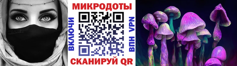 Псилоцибиновые грибы Cubensis  Галич 